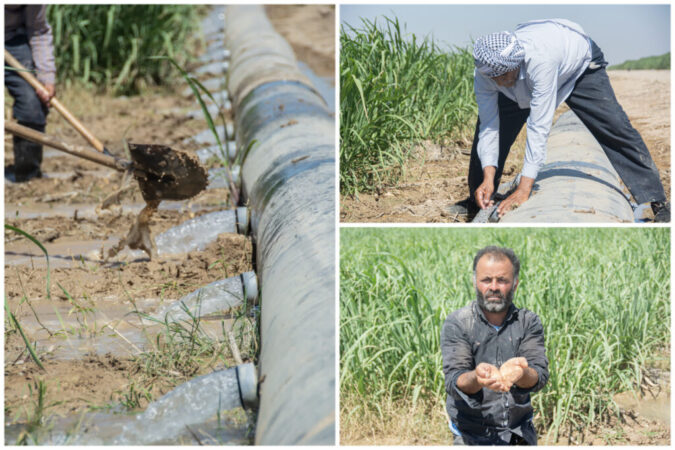 رگ حیات نیشکر در دست «آبیارها»