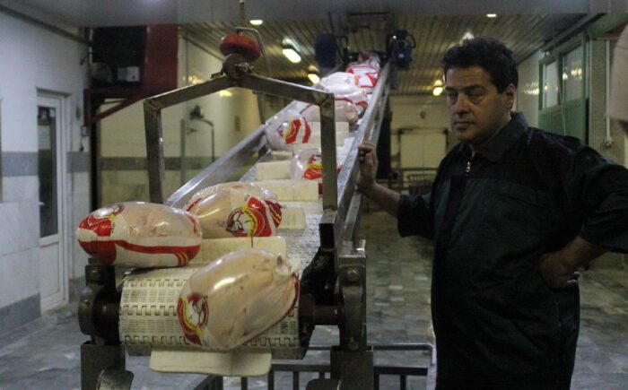 فروش مرغ خارج از قیمت مصوب تخلف است/ بازنگری فرآیند تولید تا عرضه مرغ در خوزستان