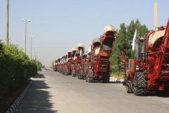 پیام مدیرعامل شرکت توسعه نیشکر به مناسبت پایان برداشت نیشکر در کشت و صنعت های هفتگانه توسعه نیشکر