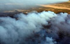 انتشار دود آتش‌سوزی هورالعظیم در شهرهای خوزستان/ لزوم پیگیری دیپلماتیک حریق‌ها