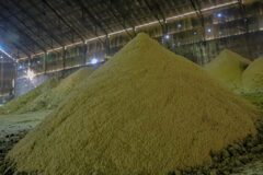 تولید شکر زرد هفت‌تپه به ۶۰۰ تُن در روز افزایش می‌یابد