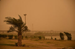 هشدار زرد وقوع گرد و خاک همرفتی در خوزستان